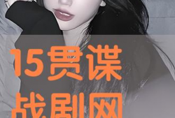 网盘电视剧,网盘电视剧的精彩世界