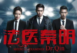 电视剧大全在线观看,海量剧集，一网打尽