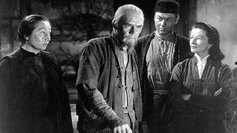 上海抗日谍战电视剧,上海抗战时期的谍影重重